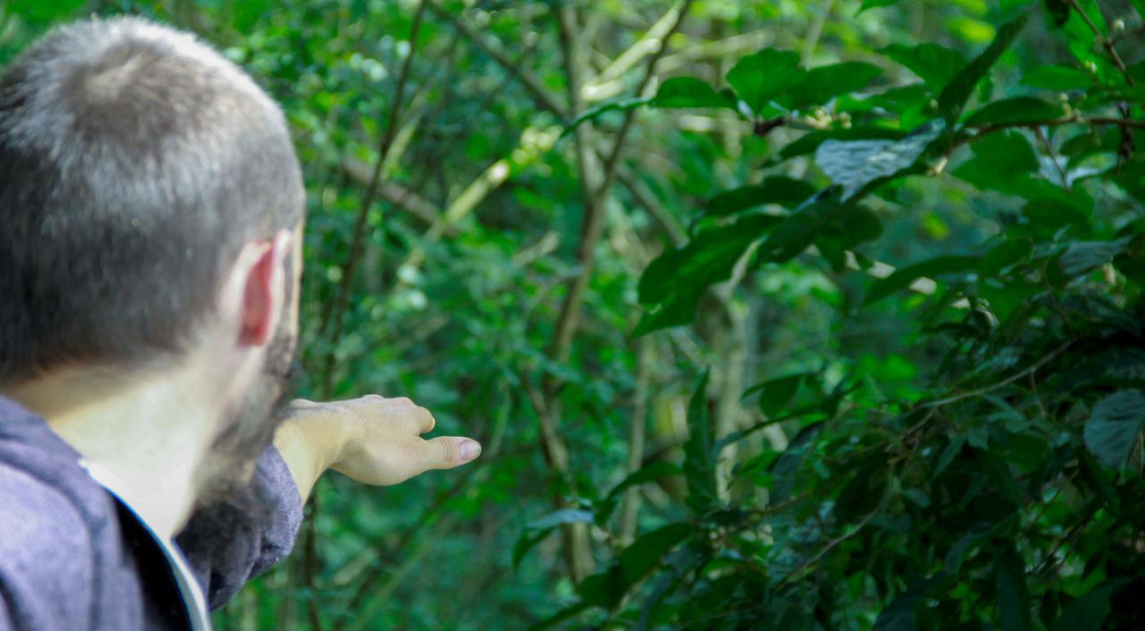 Yacutinga Lodge Puerto Iguazú Kültér fotó