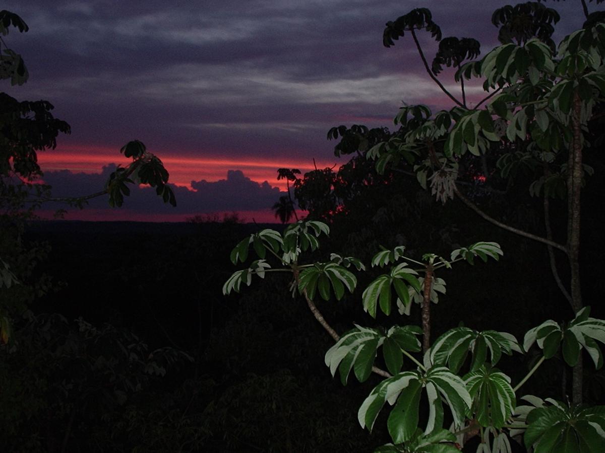 Yacutinga Lodge Puerto Iguazú Kültér fotó